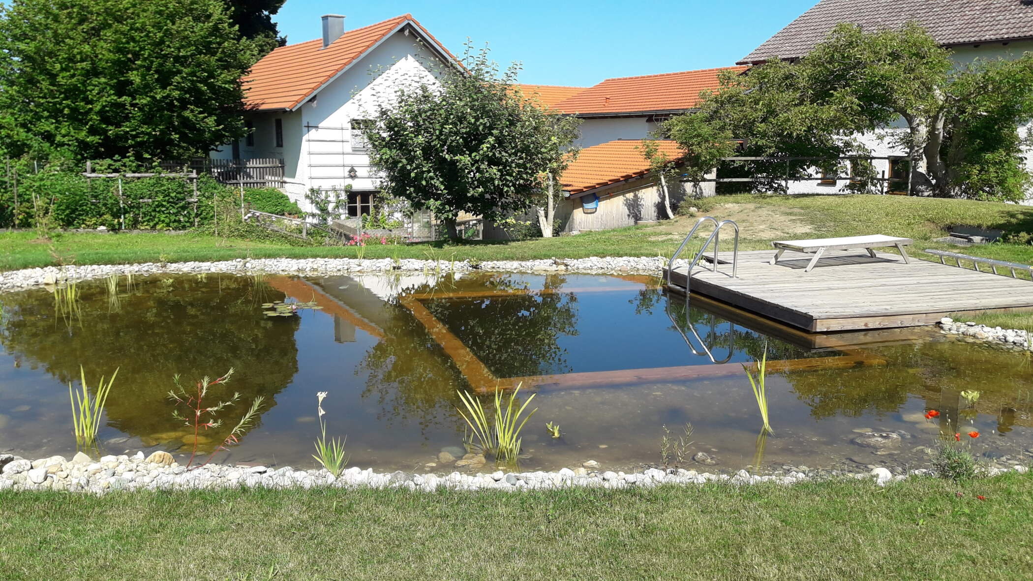 Schwimmteich von Garten- und Landschaftsbau Baumann