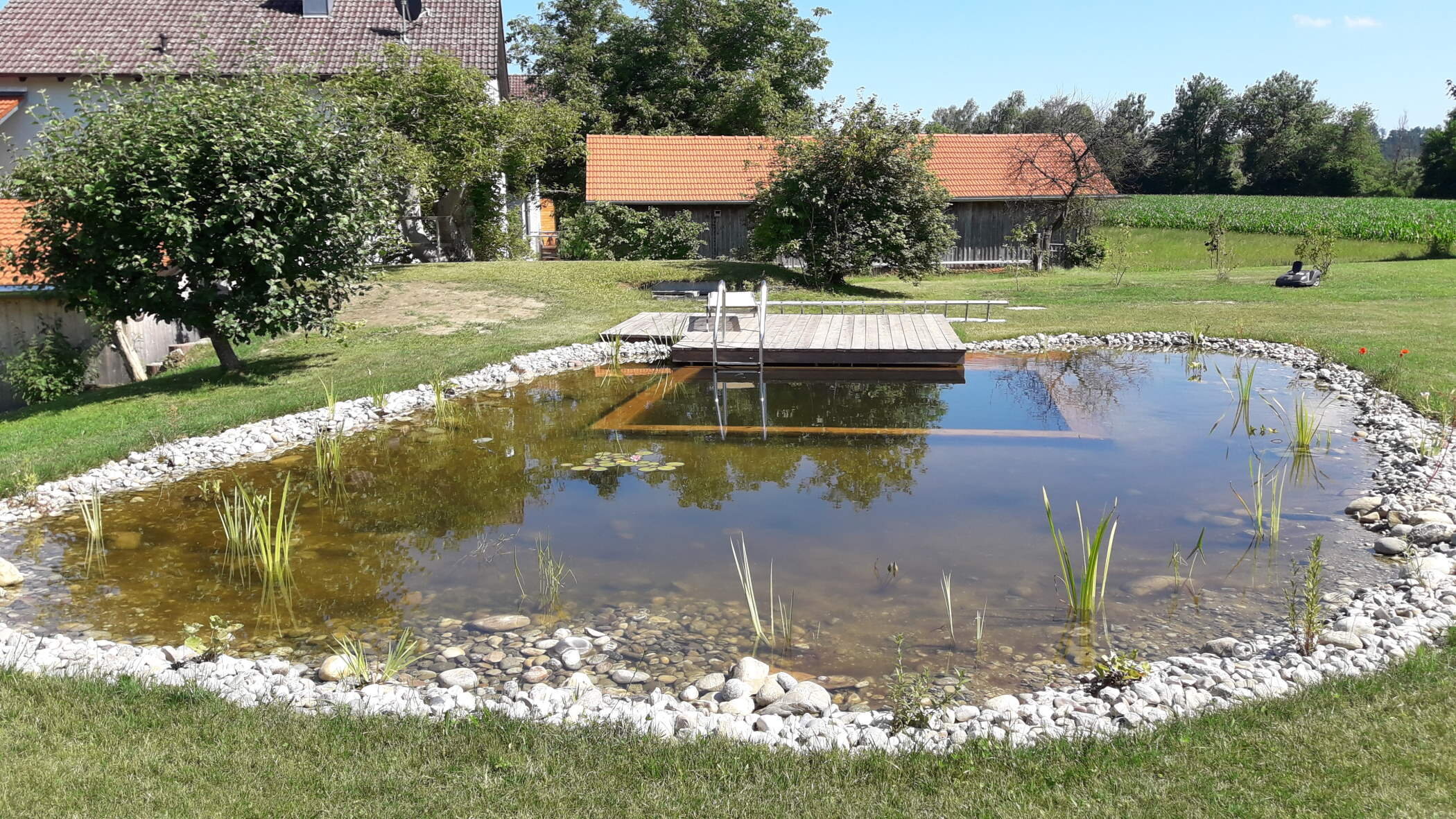 natürlicher Schwimmteich